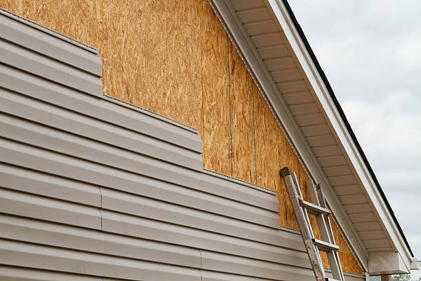 Professional Siding Repair technician working in Baltic, CT